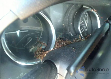 2019 Toyota Camry Se из США, поврежденный, VIN 4T1B11HK9KU751509